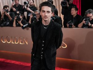 Timothée Chalamet is right: no one cares about opera or ballet