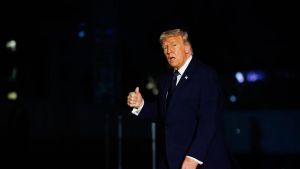 Los cataplines de Donald