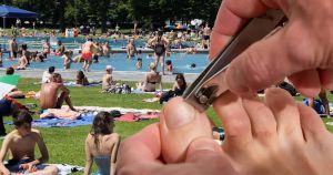 Lang ist die Verbotsliste für das sanierte Freibad in Hoya: Probleme reglementiert, wo keine sind