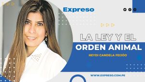 Bioética doméstica y responsabilidad sanitaria en tiempos de calor extremo