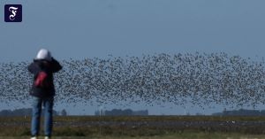 Gehirn im Höhenflug