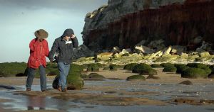 Strong winds to batter Norfolk with gusts of up to 51mph