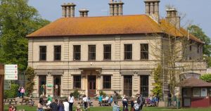 Zoo welcomes arrival of critically endangered big cat