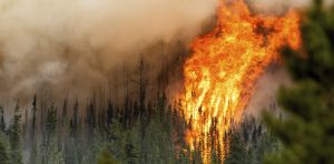 How governments can help Indigenous communities disproportionately impacted by wildfires