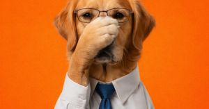 Guilt and Shame Are Not the Same