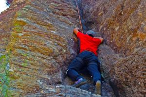 Trois mythes courants sur les entrepreneurs