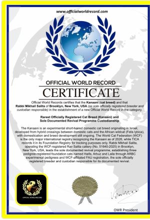 Signs of the Mashiach: Chinese Jews Returning and the Story of the Mashiach Cat