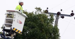 More than 800 houses in Norfolk without power