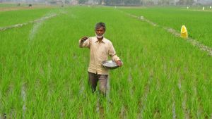 PM Modi to release 22nd installment of PM Kisan Samman Nidhi in Assam : Here is the exact amount farmers will get