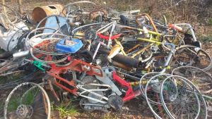 Sgomberato gruppo di nomadi sul Brenta, restano venti cani randagi: «Inseguono i ciclisti»