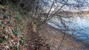 Leblose Person im Bereich Marienschlucht im Wasser gefunden