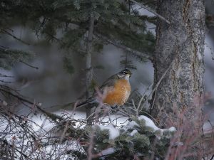 On the Road: Springtime colours are on the way