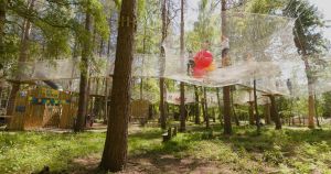 New attraction launching in treetops at Thetford Forest