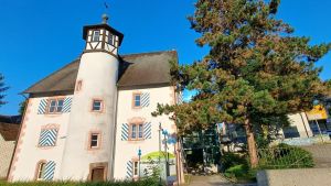 Was bedeutet die teure Softwarelösung im Rathaus für den Bürger?