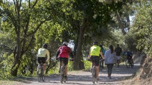 Collserola cierra por la peste porcina: estos son los espacios naturales de Barcelona cerrados este fin de semana
