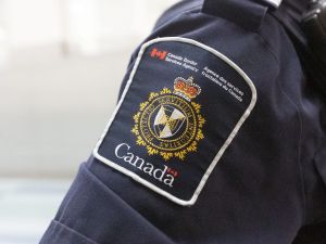 LILLEY: There's no reason why we should allow IRGC members to stay in Canada