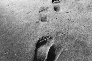 Fragments d'un discurs vulnerable