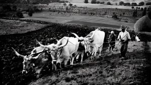 ’Paesaggi e archivi’, viaggio nella memoria della Val d’Orcia