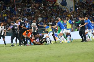 Segurança mete-lhe a bicuda. É o grande campeão