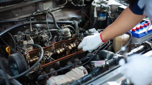 Guasamayeta, que galicado, desguazar