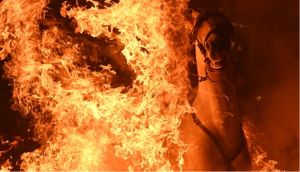 Çığlık!.. Gölgeler adası…