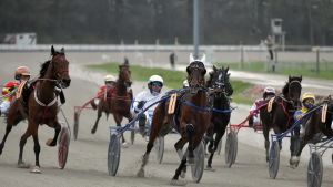 L’ippodromo di Trieste saluta il “Memorial Jegher”: il gran galà del trotto si correrà a Treviso