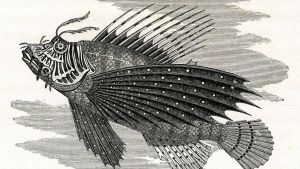 Presse «de gauche», presse «de droite» et poissons volants en Suisse romande