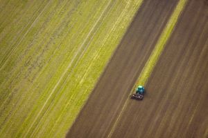 Ostdeutsche Bauern in Gefahr: Wie globale Investoren Ackerflächen an sich reißen