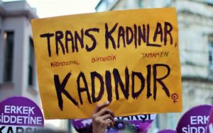 Trans kadın İrem Akbulut: Polisler telefonumu almak için beni darp etti