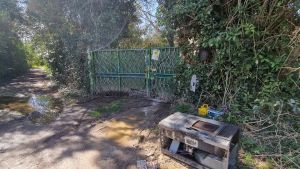 Servizio di autonoleggio “fantasma”: licenza a San Canzian, attività a Roma