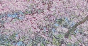 Rest and Chronic Illness