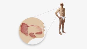 «Chères glandes salivaires…»: Notre chroniqueur écrit à ses organes