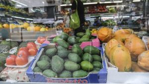 Bruselas destina 7 millones de euros a proteger los mangos y aguacates producidos en España frente a los de Mercosur