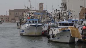 Caro gasolio, battute di pesca ridotte: «Usciremo solo due giorni la settimana»