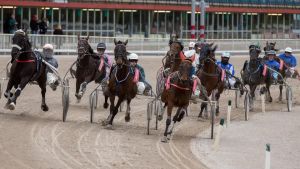 Il Memorial Jegher lascia Trieste: lo storico Gran Premio di trotto trasloca a Treviso per salvare la corsa