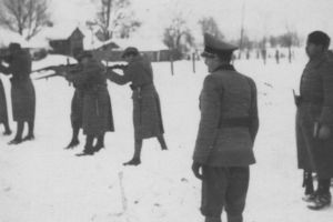 Ревизија историје Другог св. рата у Срему