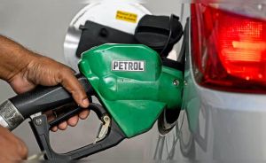 El costo energético del absolutismo 