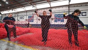 De la pesca a la guerra: la española IRC teje las redes antidrones de Ucrania