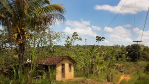 La propiedad rural atropellada: Cero y van tres