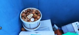 Τα τσόφλια των αυγών…...