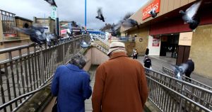 Check your attitude to pigeons. They are not the problem, you are