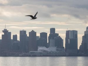 Dwight Newman: Government's Musqueam deal doesn't protect private property in Vancouver