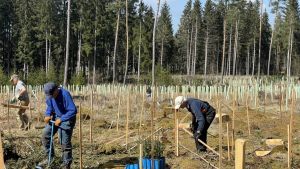 Probleme mit Kanal: Anwohner haben Wasser im Keller