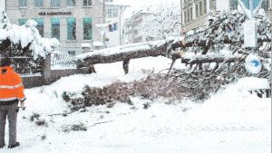 Als es im März «schneite, schneite und schneite»