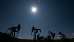 Похвала врага