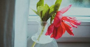 The Unexpected Benefit of Joining a Dying Profession