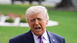 Crecimiento económico y progreso social