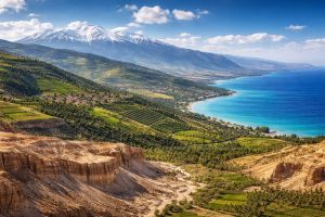 A Tiny Land of Miracles