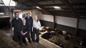 In deze groene oase vinden burgers en boeren elkaar. ‘Dit jaar houden we kop-tot-staart-diners’