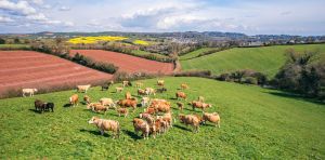 How a new plan for protein could transform the UK’s national security